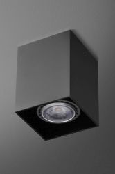 Aquaform Qupet Fine 42411+