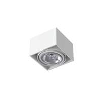Oprawa stropowa TUZ T019C4Sh