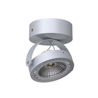 Oprawa stropowa DEDRA T026C1Sh