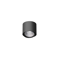 Lampa stropowa TITO T113C1